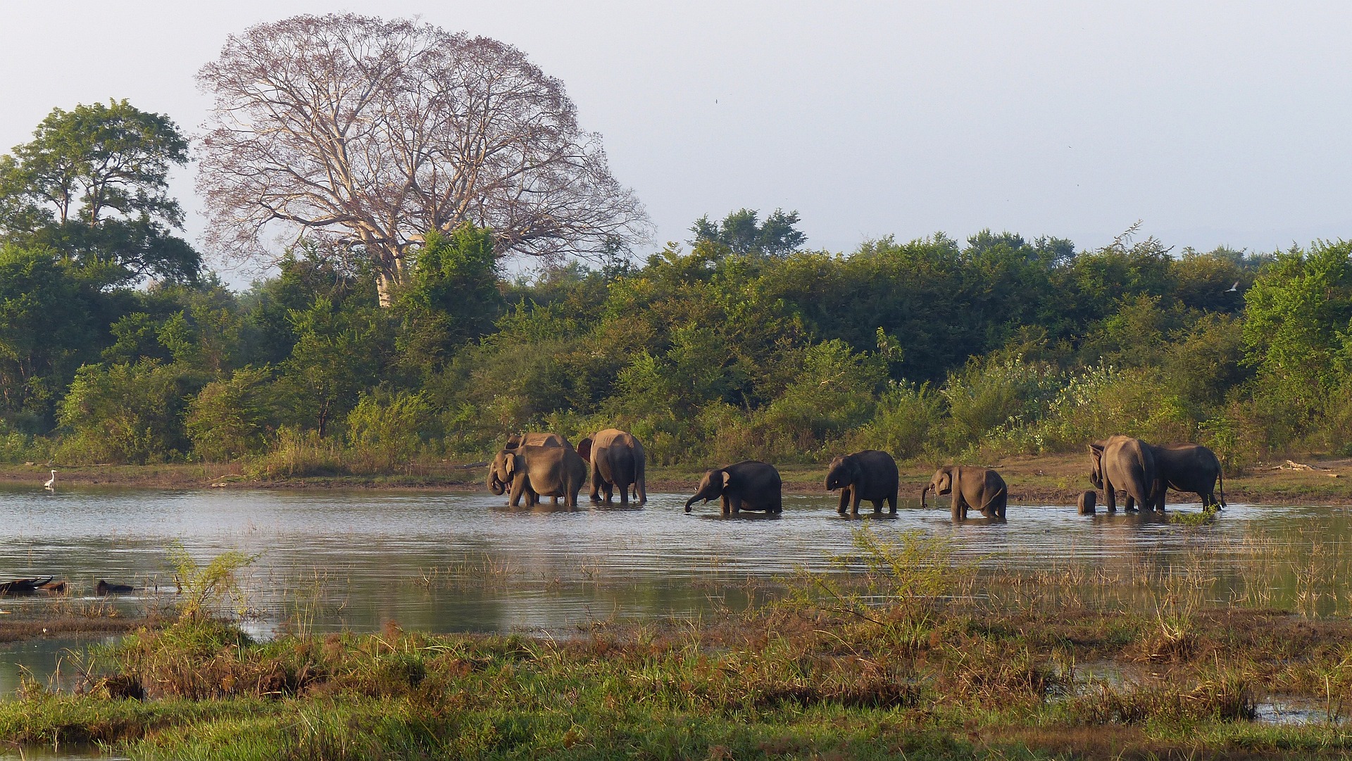 Classic Tour Sri Lanka 14 Nights 5